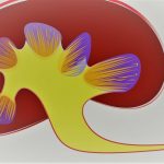 Glomerulonefritis